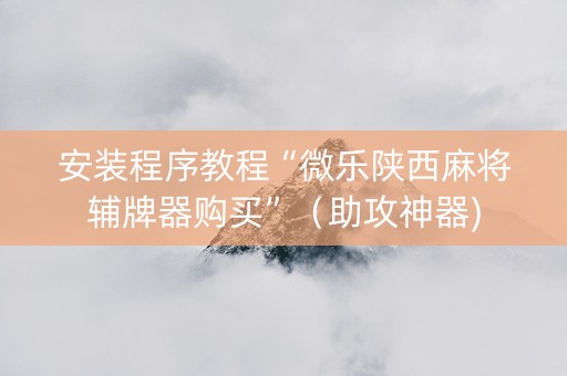 安装程序教程“微乐陕西麻将辅牌器购买”（助攻神器)