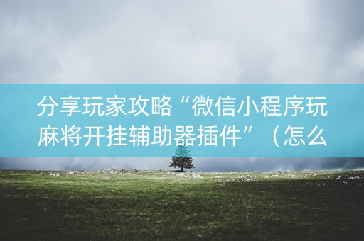 分享玩家攻略“微信小程序玩麻将开挂辅助器插件”（怎么控制输赢)