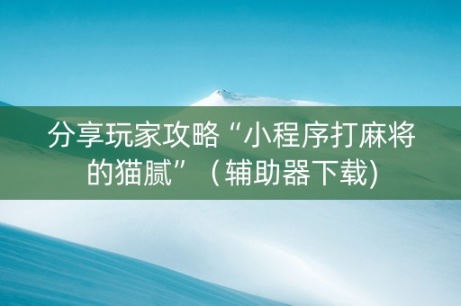 分享玩家攻略“小程序打麻将的猫腻”（辅助器下载)