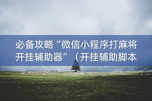 必备攻略“微信小程序打麻将开挂辅助器”（开挂辅助脚本)