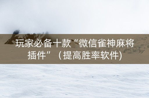 玩家必备十款“微信雀神麻将插件”（提高胜率软件)