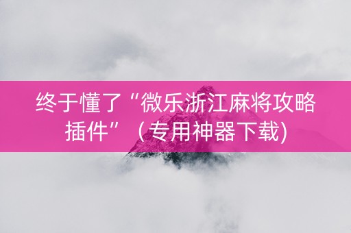 终于懂了“微乐浙江麻将攻略插件”（专用神器下载)