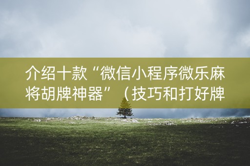 介绍十款“微信小程序微乐麻将胡牌神器”（技巧和打好牌方法)