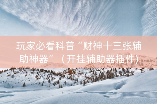 玩家必看科普“财神十三张辅助神器”（开挂辅助器插件)