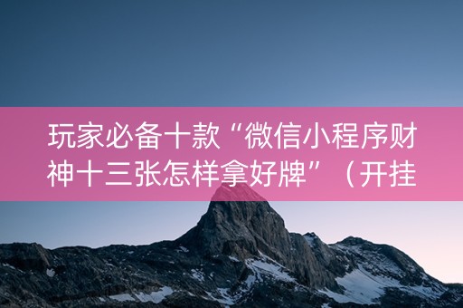 玩家必备十款“微信小程序财神十三张怎样拿好牌”（开挂辅助器插件)
