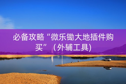 必备攻略“微乐锄大地插件购买”（外辅工具)