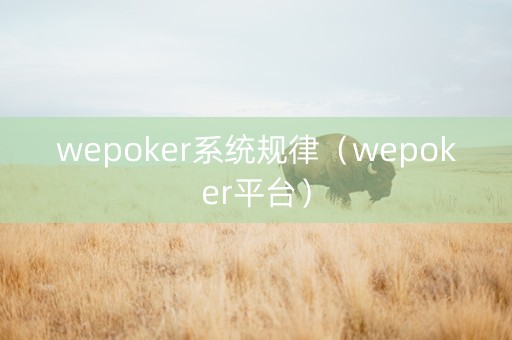 wepoker系统规律（wepoker平台）