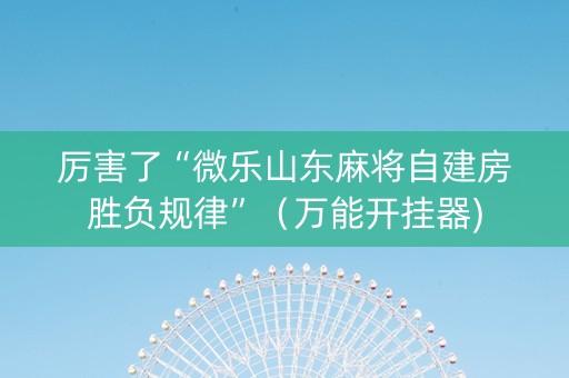 厉害了“微乐山东麻将自建房胜负规律”（万能开挂器)