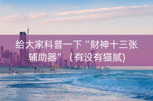 给大家科普一下“财神十三张辅助器”（有没有猫腻)