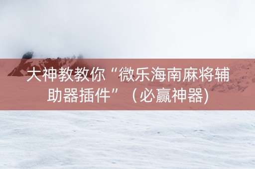 大神教教你“微乐海南麻将辅助器插件”（必赢神器)