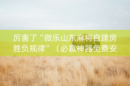 厉害了“微乐山东麻将自建房胜负规律”（必赢神器免费安装)
