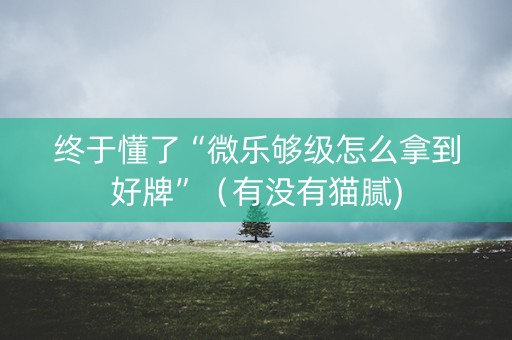 终于懂了“微乐够级怎么拿到好牌”（有没有猫腻)