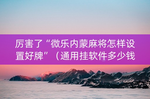 厉害了“微乐内蒙麻将怎样设置好牌”（通用挂软件多少钱)