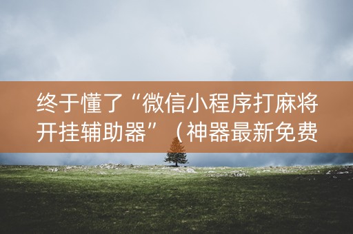 终于懂了“微信小程序打麻将开挂辅助器”（神器最新免费)