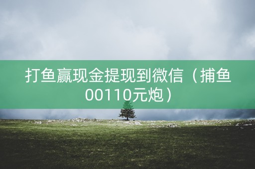打鱼赢现金提现到微信（捕鱼00110元炮）