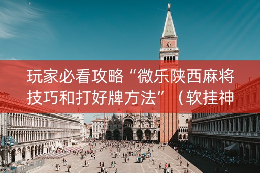 玩家必看攻略“微乐陕西麻将技巧和打好牌方法”（软挂神器)