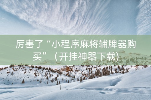 厉害了“小程序麻将辅牌器购买”（开挂神器下载)