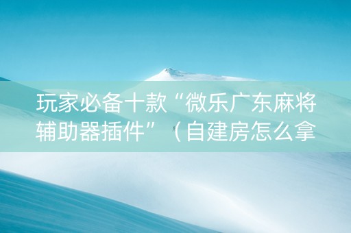 玩家必备十款“微乐广东麻将辅助器插件”（自建房怎么拿好牌)