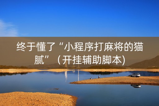 终于懂了“小程序打麻将的猫腻”（开挂辅助脚本)