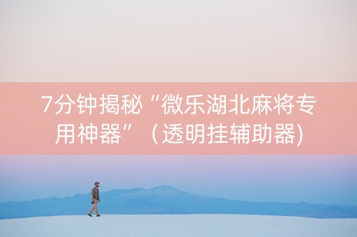 7分钟揭秘“微乐湖北麻将专用神器”（透明挂辅助器)