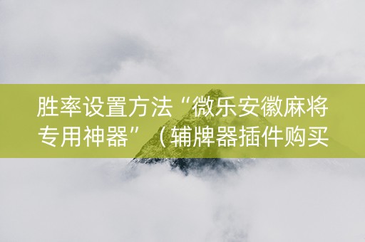 胜率设置方法“微乐安徽麻将专用神器”（辅牌器插件购买)