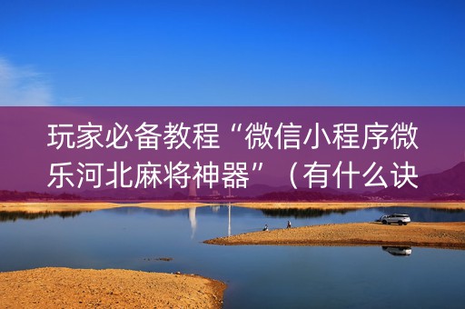 玩家必备教程“微信小程序微乐河北麻将神器”（有什么诀窍)