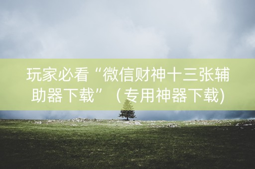 玩家必看“微信财神十三张辅助器下载”（专用神器下载)