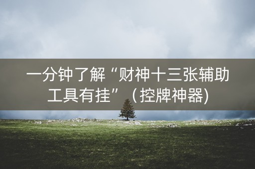 一分钟了解“财神十三张辅助工具有挂”（控牌神器)