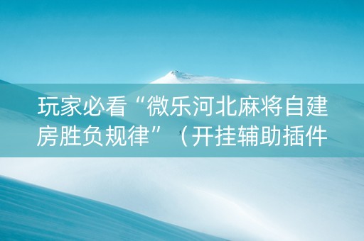 玩家必看“微乐河北麻将自建房胜负规律”（开挂辅助插件)