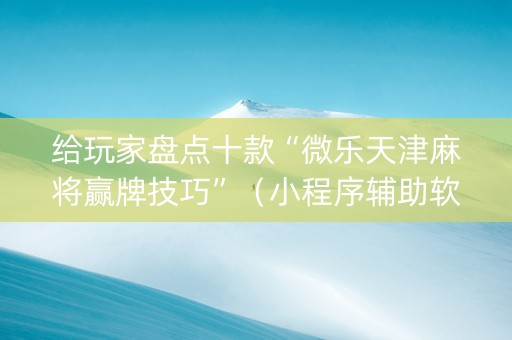 给玩家盘点十款“微乐天津麻将赢牌技巧”（小程序辅助软件)