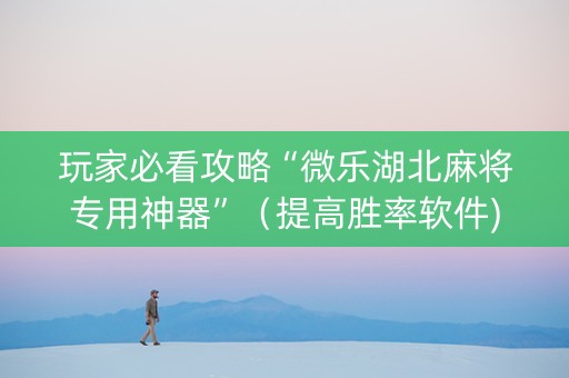 玩家必看攻略“微乐湖北麻将专用神器”（提高胜率软件)