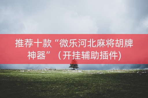 推荐十款“微乐河北麻将胡牌神器”（开挂辅助插件)