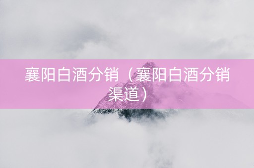 襄阳白酒分销（襄阳白酒分销渠道）