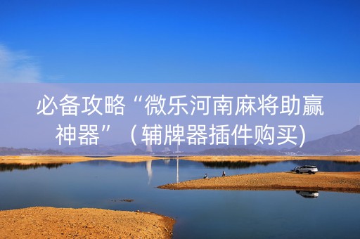 必备攻略“微乐河南麻将助赢神器”（辅牌器插件购买)