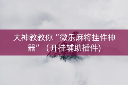 大神教教你“微乐麻将挂件神器”（开挂辅助插件)