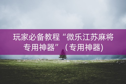 玩家必备教程“微乐江苏麻将专用神器”（专用神器)