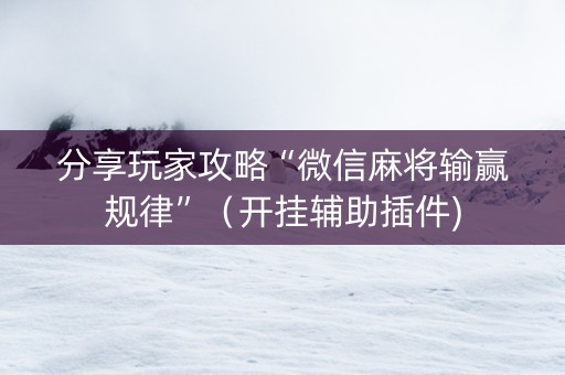 分享玩家攻略“微信麻将输赢规律”（开挂辅助插件)