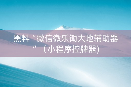 黑料“微信微乐锄大地辅助器”（小程序控牌器)