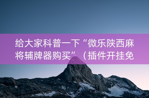 给大家科普一下“微乐陕西麻将辅牌器购买”（插件开挂免费AI)
