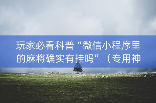 玩家必看科普“微信小程序里的麻将确实有挂吗”（专用神器)