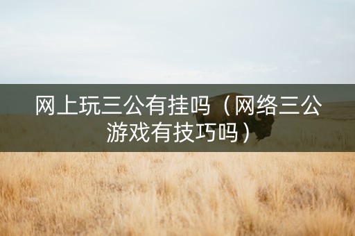网上玩三公有挂吗（网络三公游戏有技巧吗）