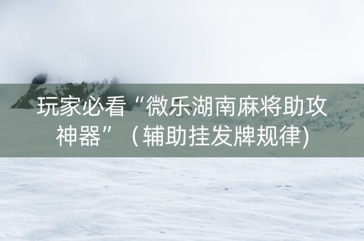 玩家必看“微乐湖南麻将助攻神器”（辅助挂发牌规律)