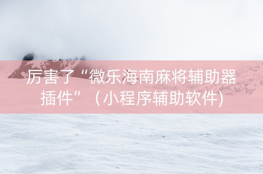 厉害了“微乐海南麻将辅助器插件”（小程序辅助软件)