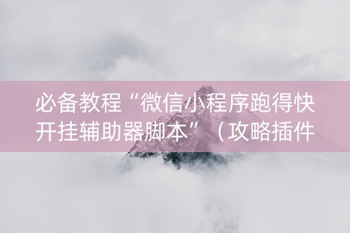 必备教程“微信小程序跑得快开挂辅助器脚本”（攻略插件)