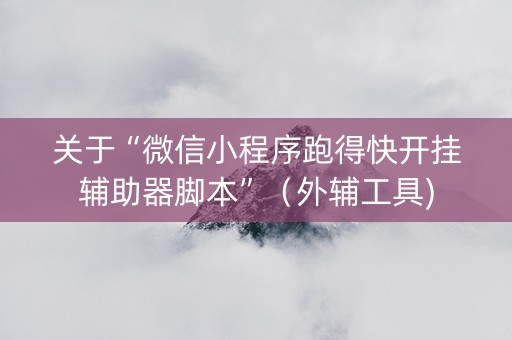 关于“微信小程序跑得快开挂辅助器脚本”（外辅工具)