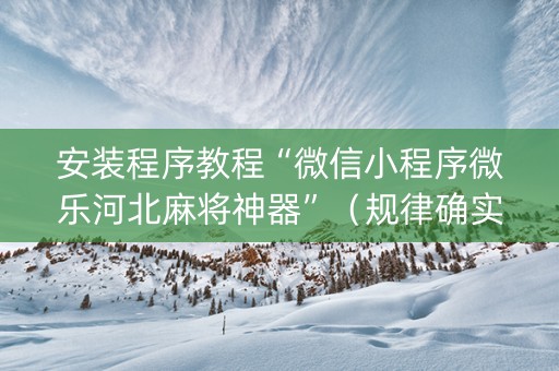 安装程序教程“微信小程序微乐河北麻将神器”（规律确实有挂)