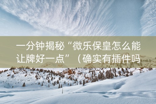 一分钟揭秘“微乐保皇怎么能让牌好一点”（确实有插件吗)