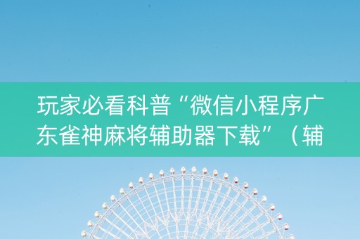 玩家必看科普“微信小程序广东雀神麻将辅助器下载”（辅助器插件)