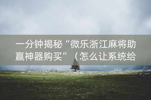 一分钟揭秘“微乐浙江麻将助赢神器购买”（怎么让系统给自己好牌)