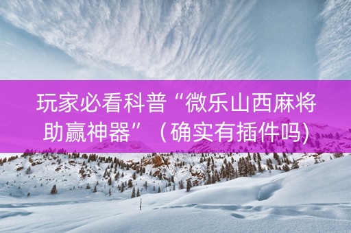 玩家必看科普“微乐山西麻将助赢神器”（确实有插件吗)